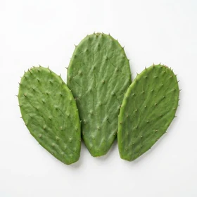 Nopal Mexicano — ingrediente Cardionix