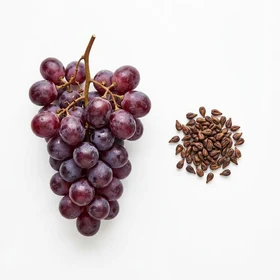 Extracto de Uva Roja — ingrediente Cardionix